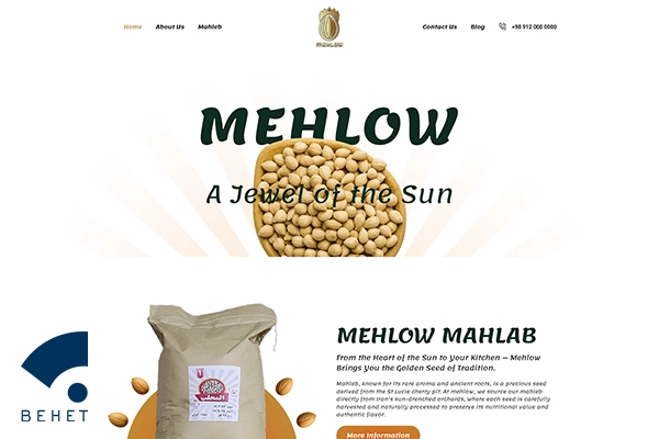 نمونه وب سایت mehlow